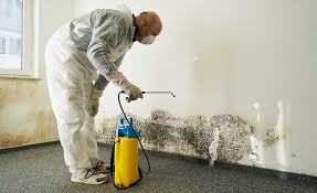 Mold Remediation for Rental Properties in Olivet, NJ